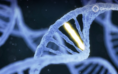 Le mutazioni genetiche potrebbero predire la risposta al trapianto allogenico