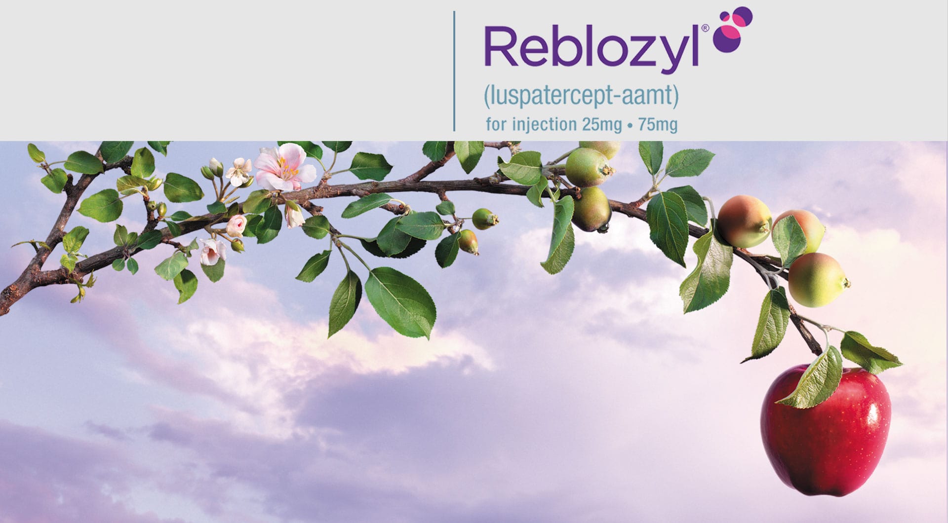 rebozyl pianta